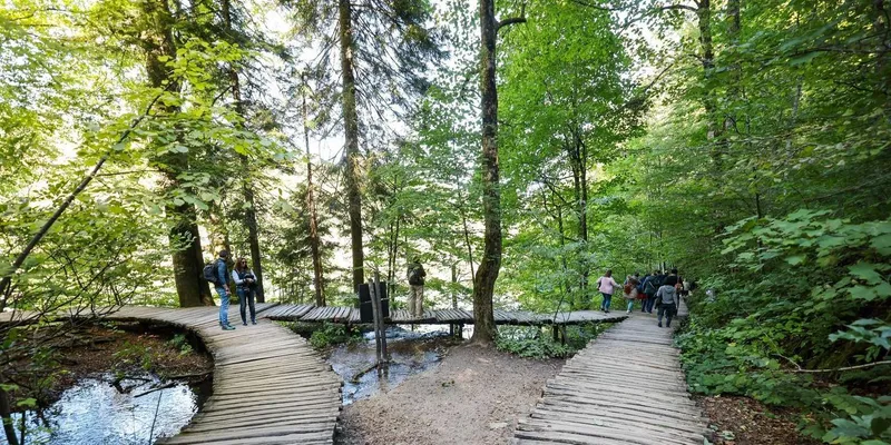 Panoramic park train and turquoise lakes on a Plitvice Lakes National Park tour from Zadar, Croatia