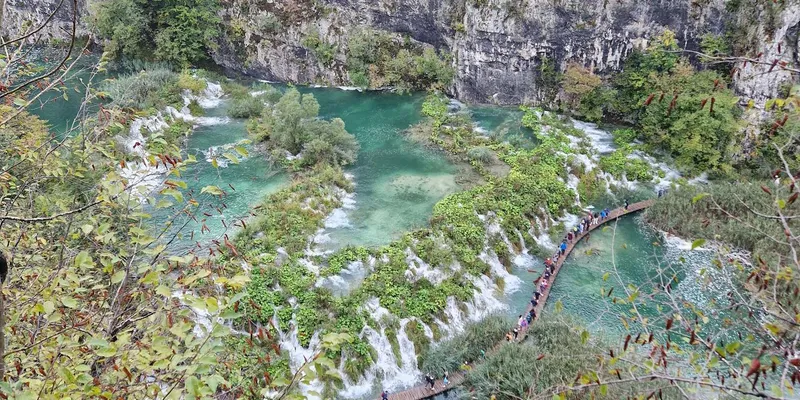 Forest-fringed emerald lake on a guided Plitvice Lakes National Park tour with a boat ride, Croatia