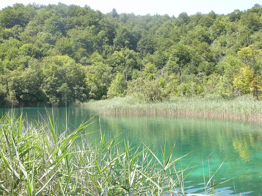Turquoise terraces of the Upper Lakes seen on a Plitvice Lakes National Park tour from Zagreb, Croatia